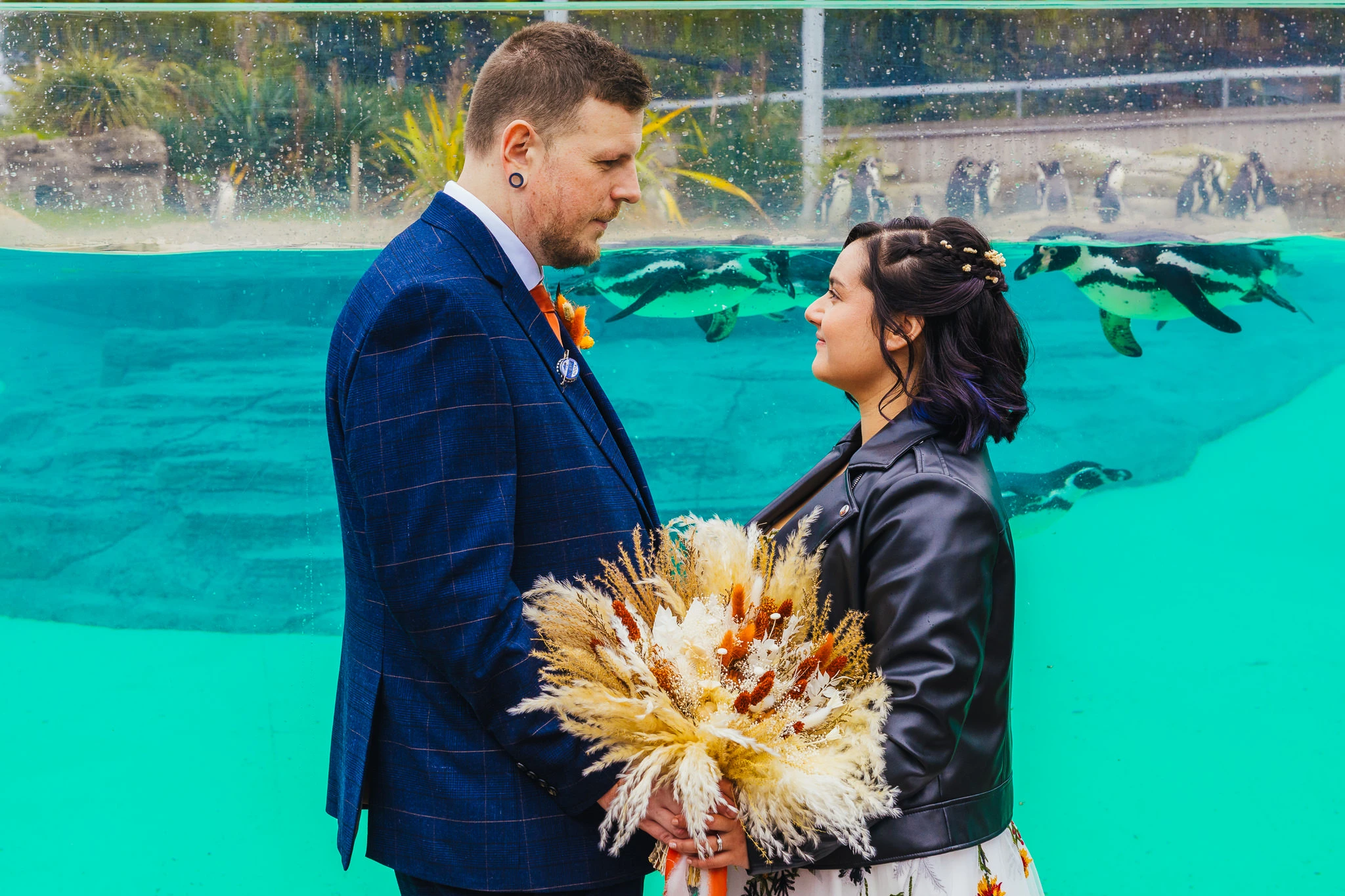 Couple in front of the penguin pool at Chester Zoo